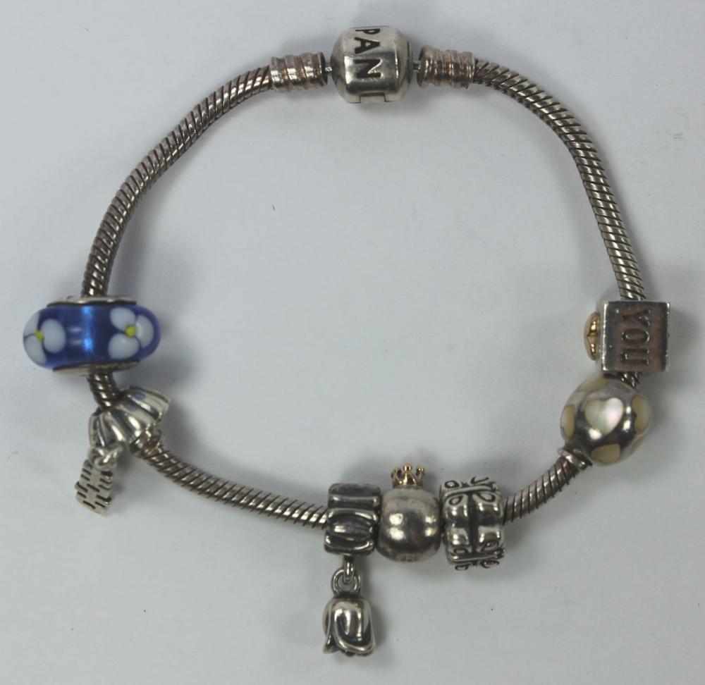 Pandora Charm Bracelet in S... image