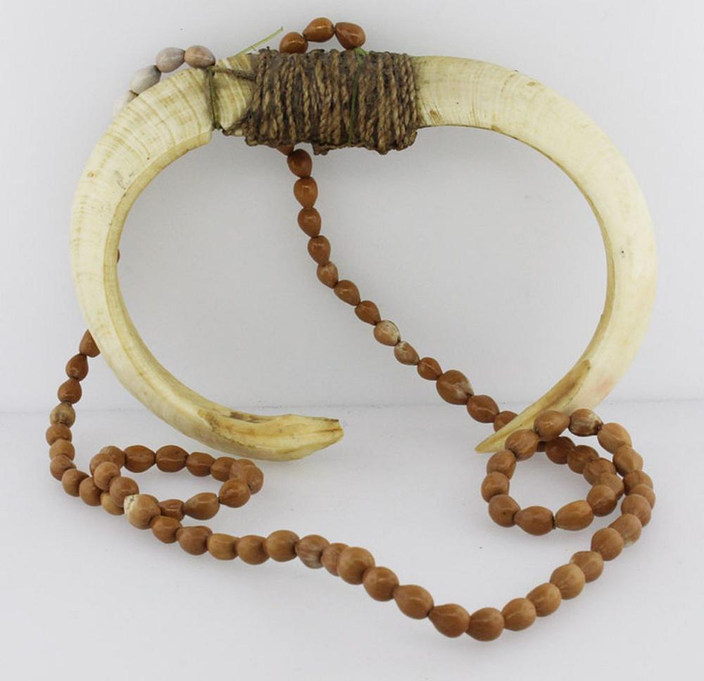 New Guinea Pig Tusk Money image