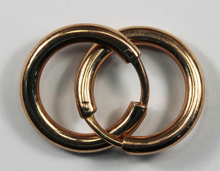 Hooped Earrings in 9ct Gold image