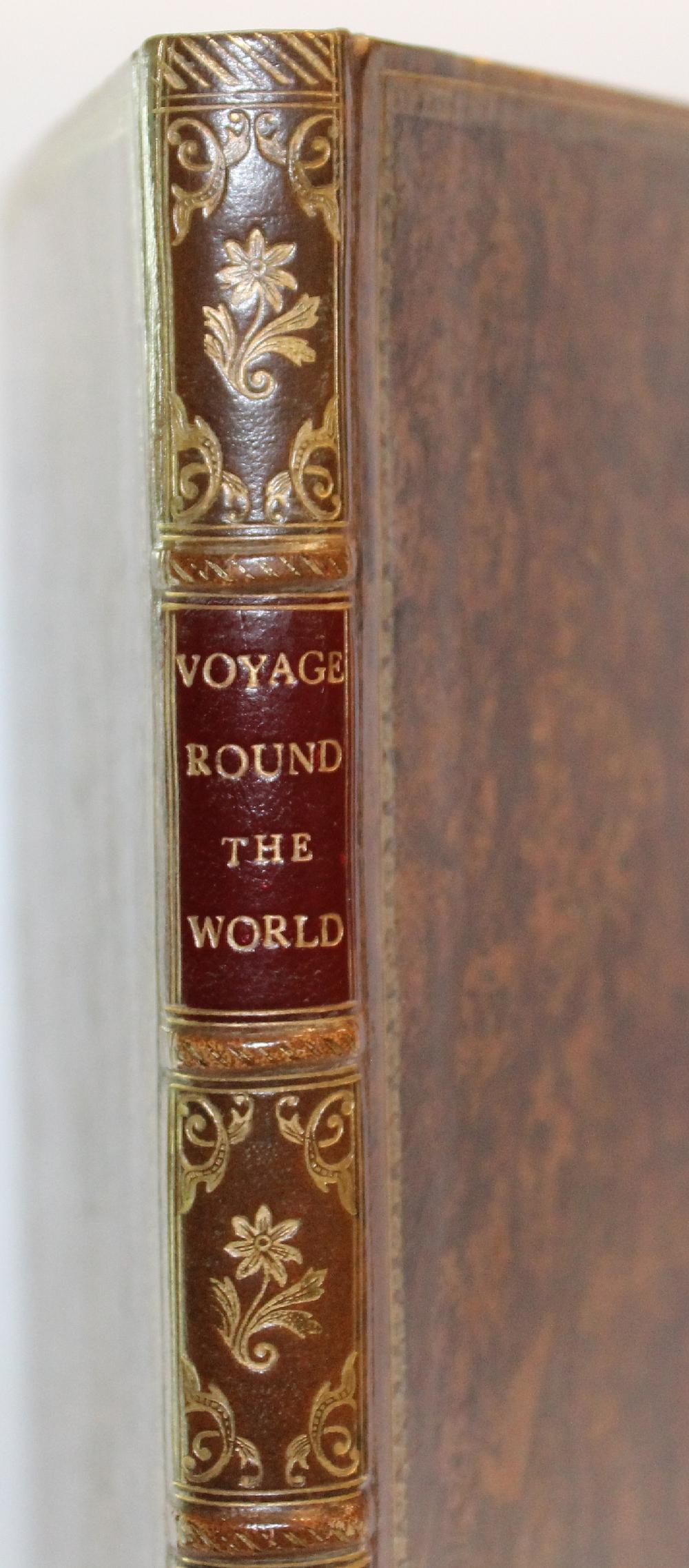 'A Voyage Round the World i... image