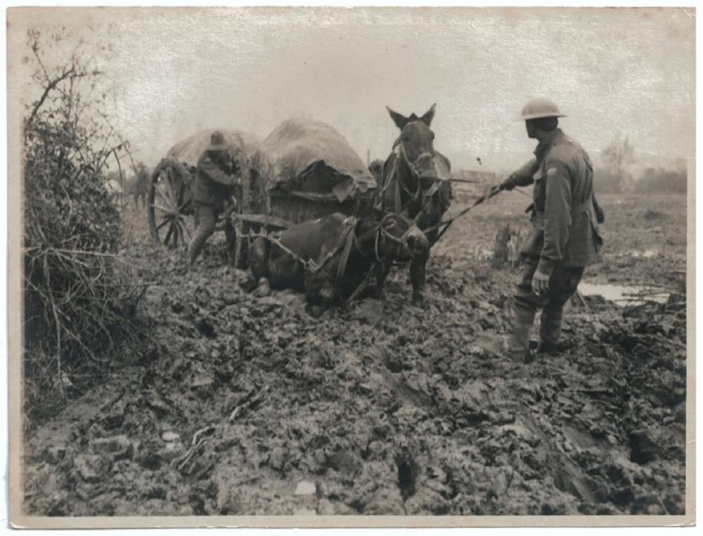 WWI Australia. Contemporary... image