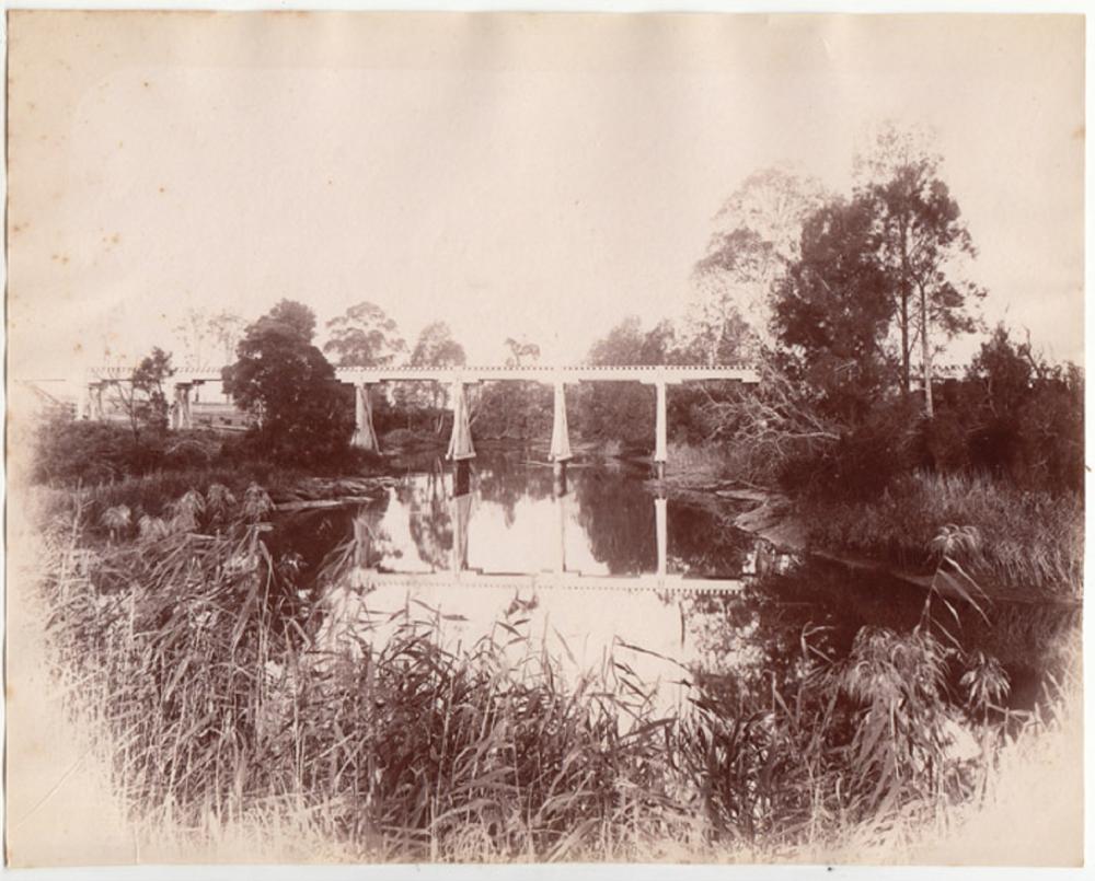 Australia Contemporary Photograph of Bomaderry Road