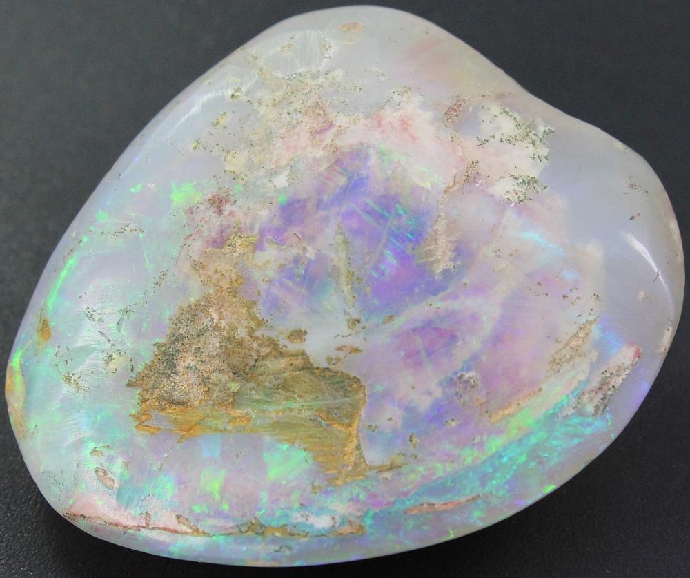 Opalized Seashell Specimen ... image