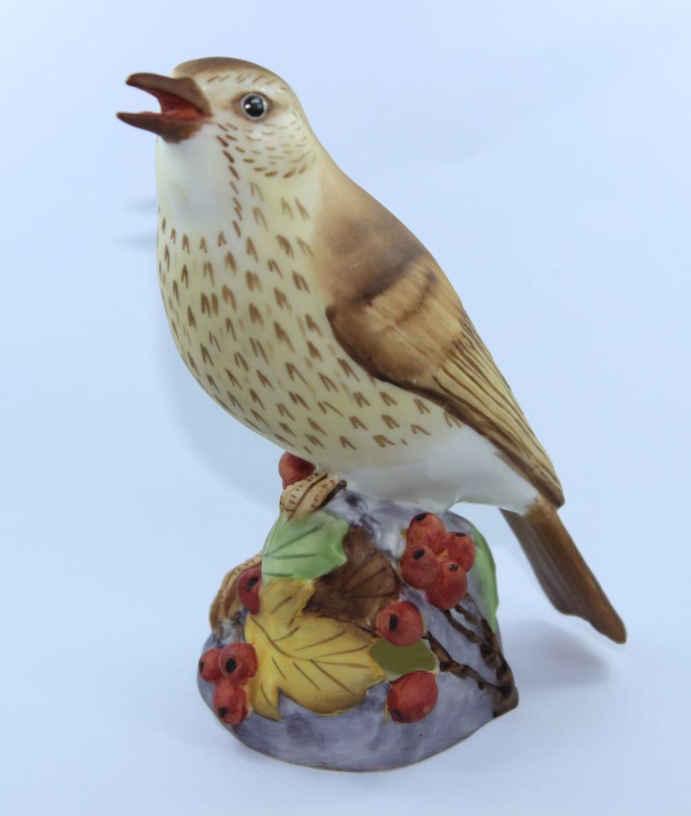 Royal Worcester Thrush Figu... image