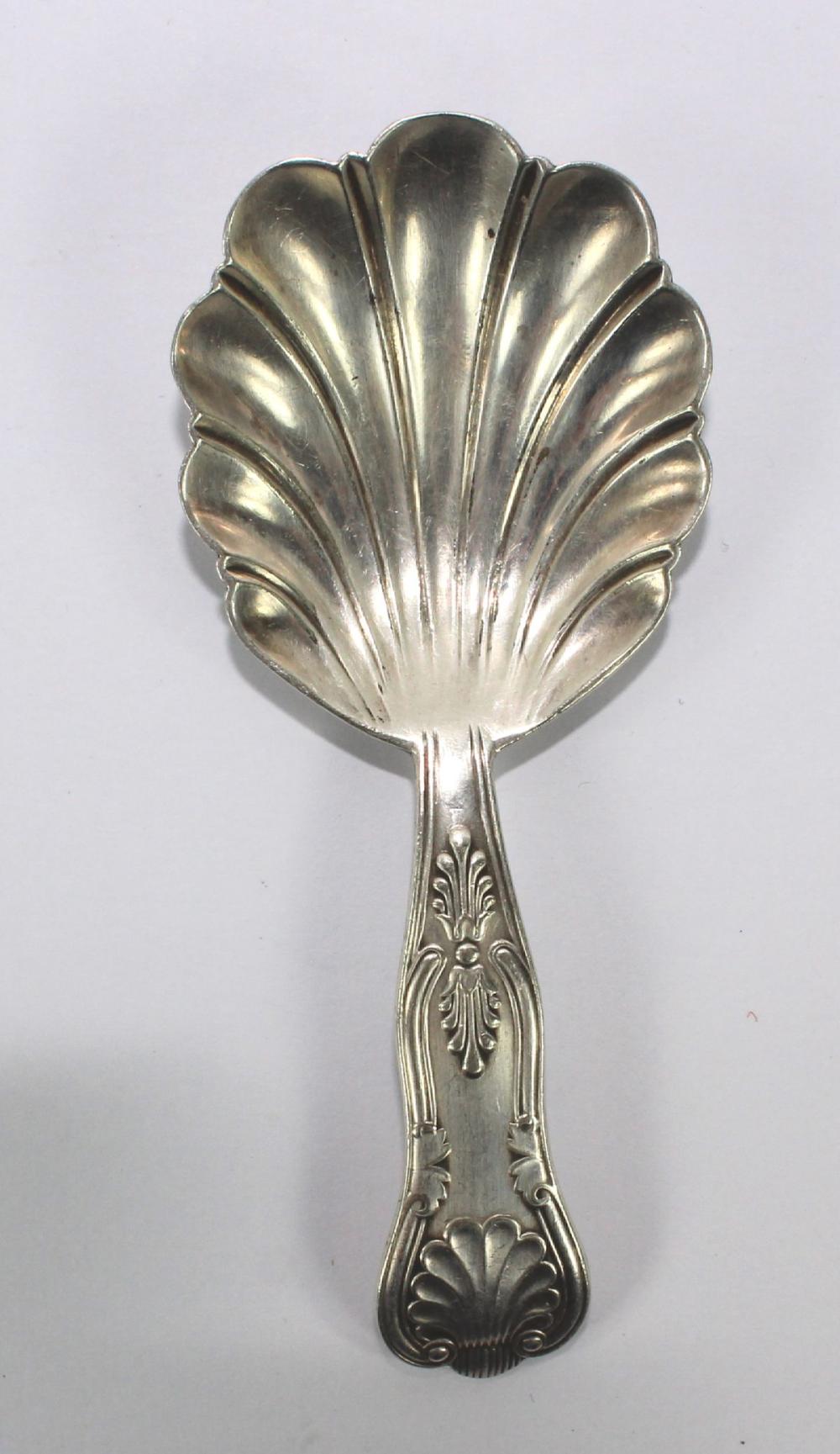 Tea Caddy Spoon in Silver-p... image