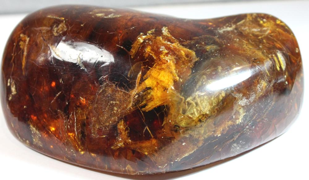 Polished Amber Specimen image