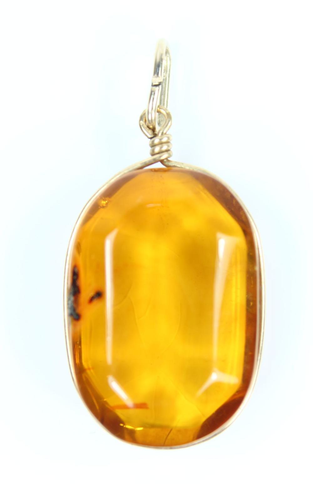 Amber Pendant with simple G... image