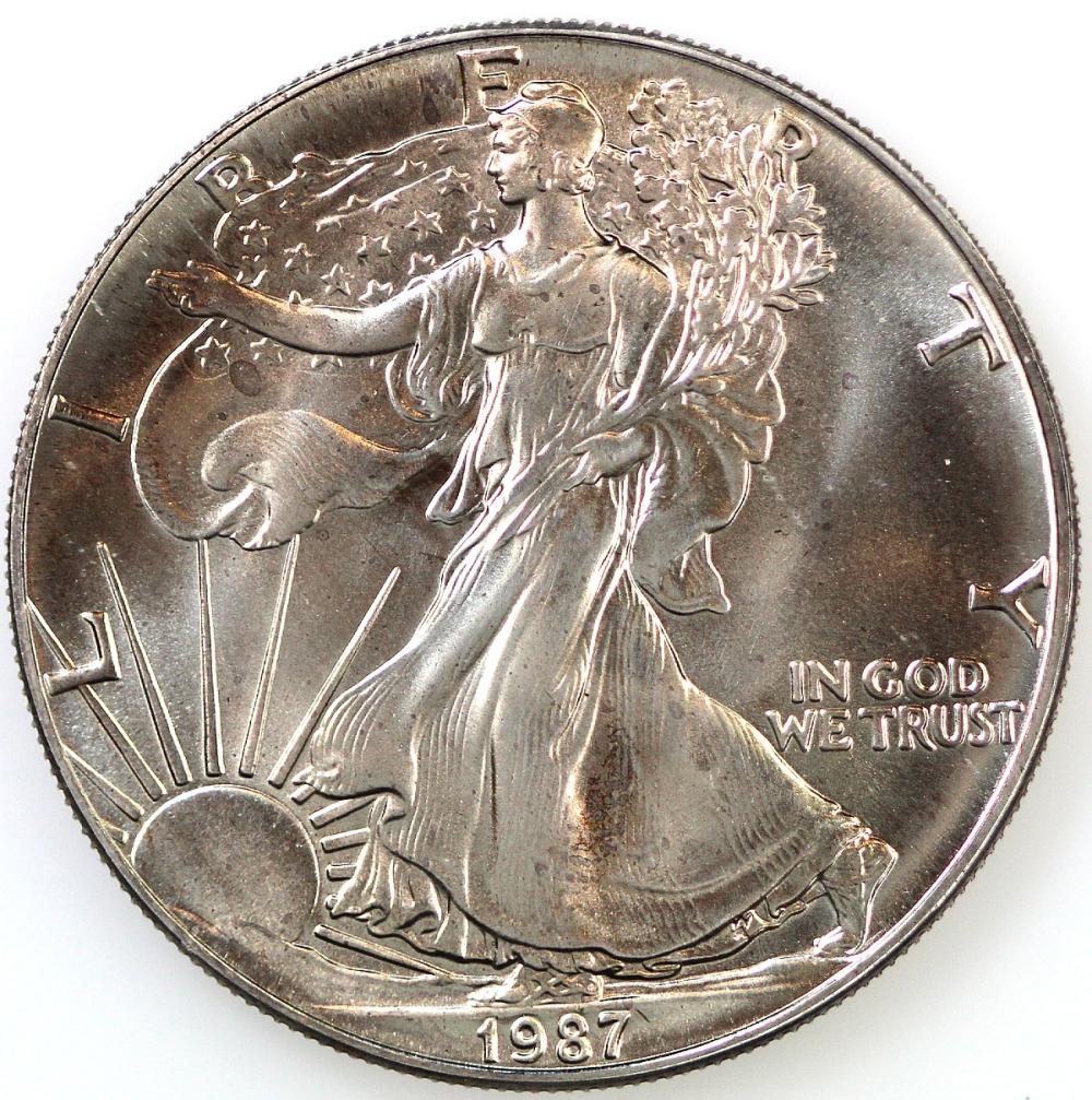 U.S.A. 1987 Bullion Silver ... image