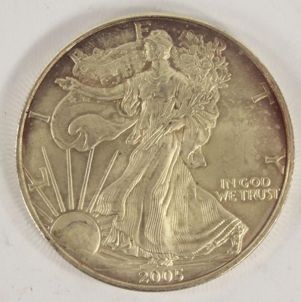 U.S.A. 2005 Silver (999) Do... image