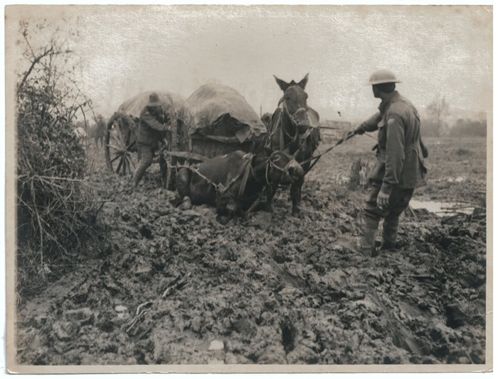 WWI - Original photograph o... image