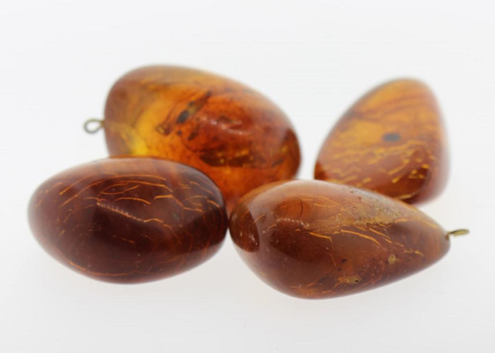 Polished Baltic Amber Fragm... image