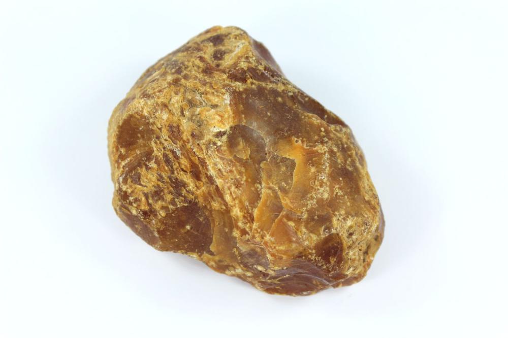 Baltic Amber Specimen image