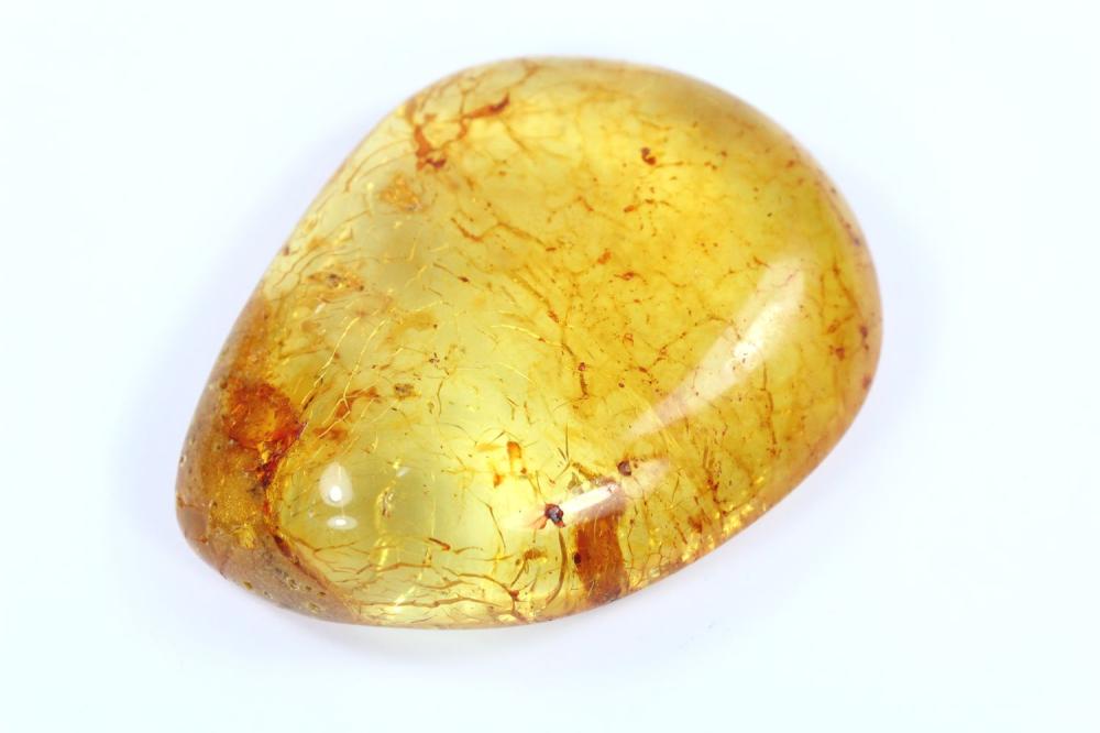 Baltic Amber Specimen with ... image