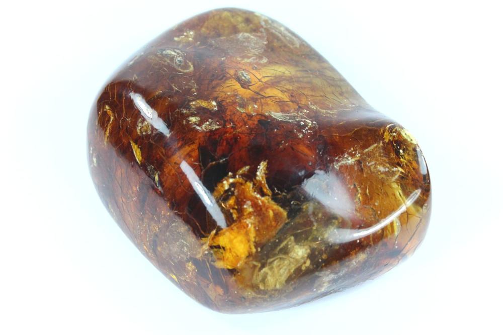 Baltic Amber Specimen with ... image