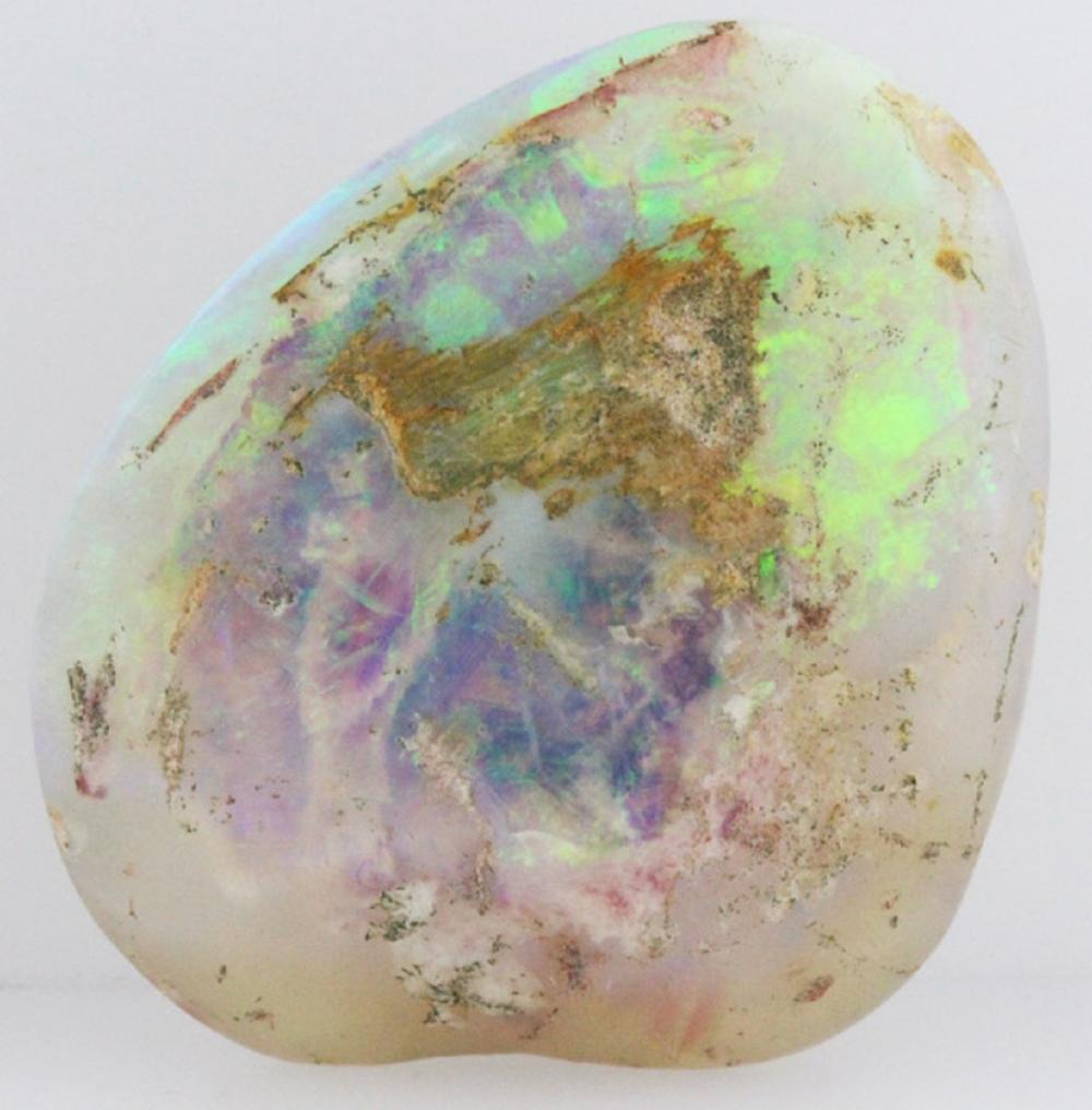 Opalized Seashell Specimen ... image