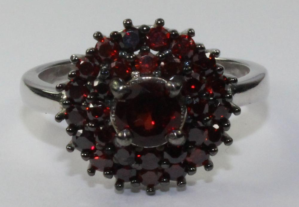 Garnet & Sterling (925) Sil... image