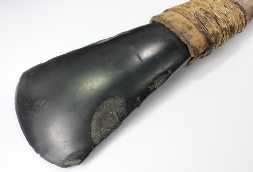 Early Stone Axe from the Pa... image