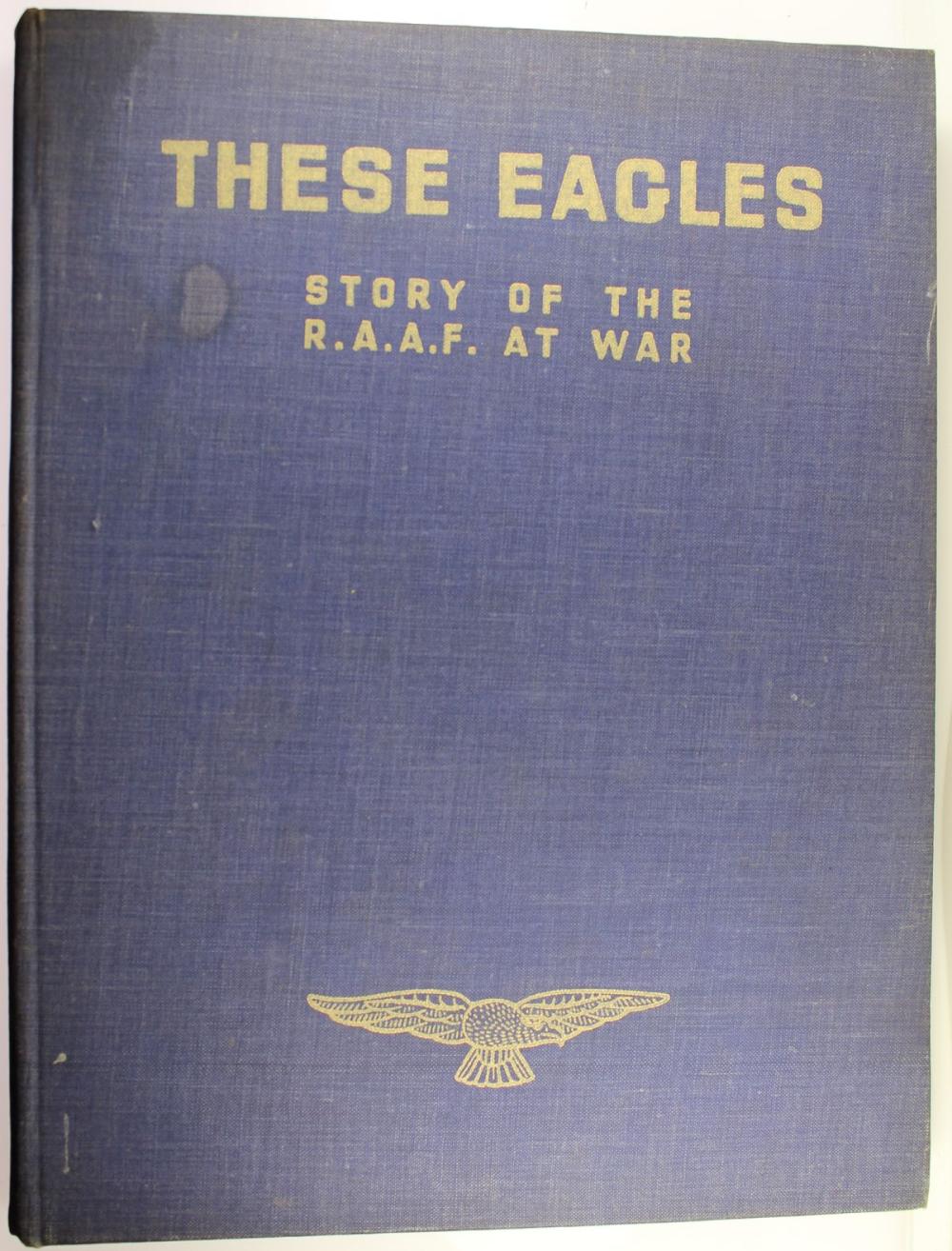 'These Eagles' - Story of t... image