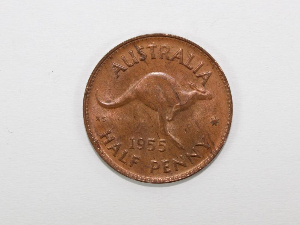 Australia 1955 (P) Halfpenn... image