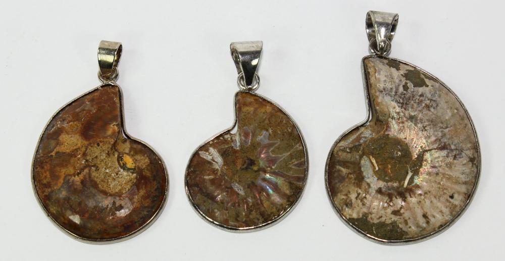 Ammolite Fossil Pendants se... image