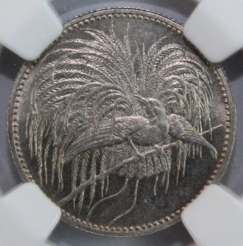 German Neu (New) Guinea 189... image