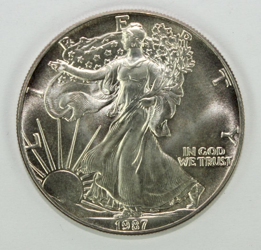 U.S.A. 1987 Silver (999) Do... image