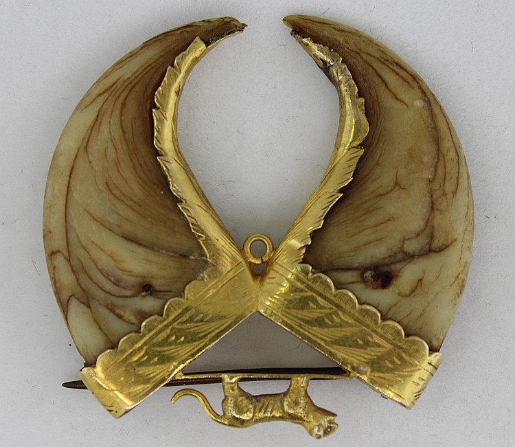 Rare Indian Tiger Claw Brooch image