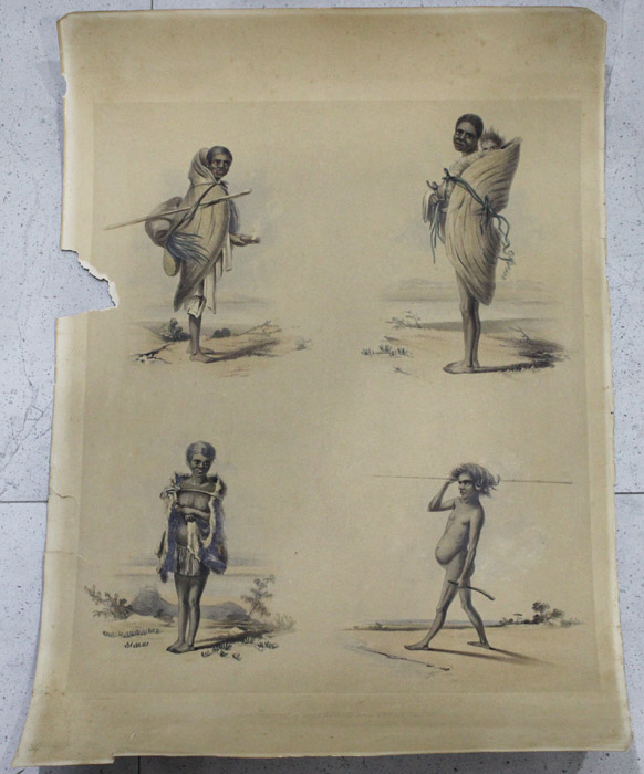 Australia Lithograph 'Portr... image