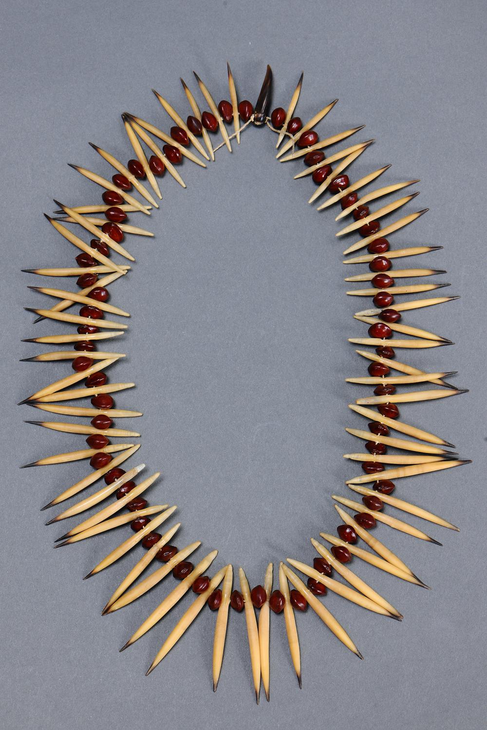 RARE ECHIDNA QUILL NECKLACE... image