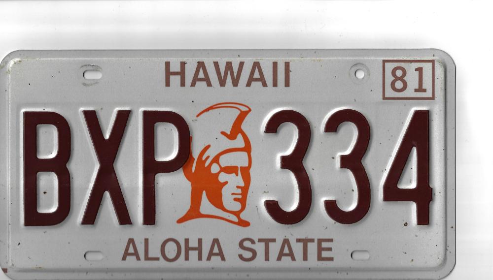 U.S.A. Hawaii Car Number Pl... image