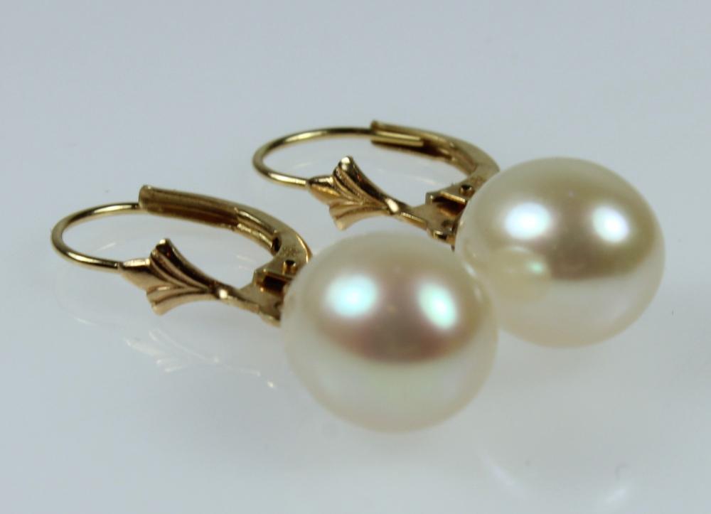 Pearl Earrings in 14ct Yell... image