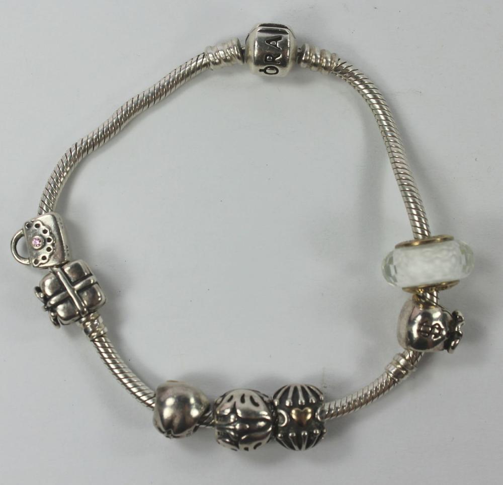 Pandora Charm Bracelet in S... image