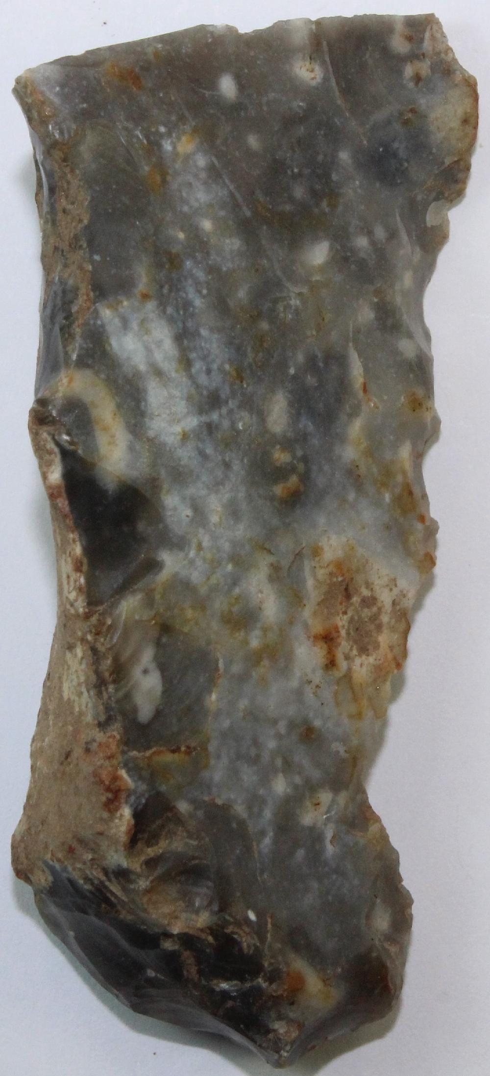 Neolithic Spoon Scraper image