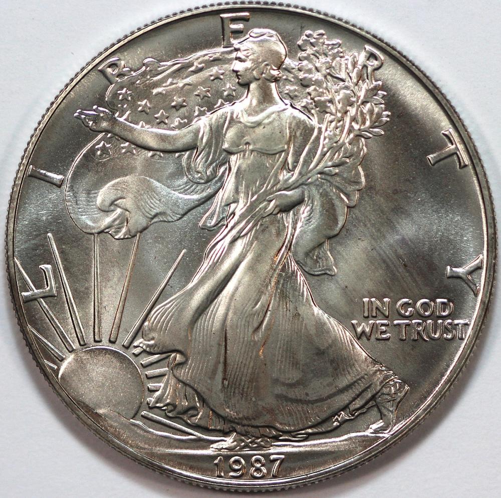 U.S.A. 1987 Bullion Silver ... image