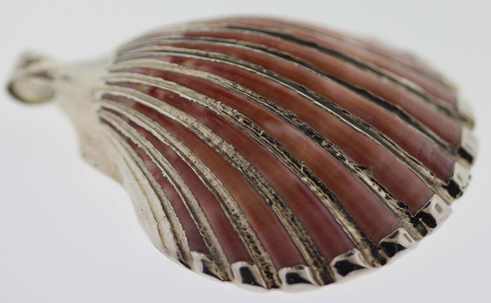 Natural Scallop Shell Penda... image