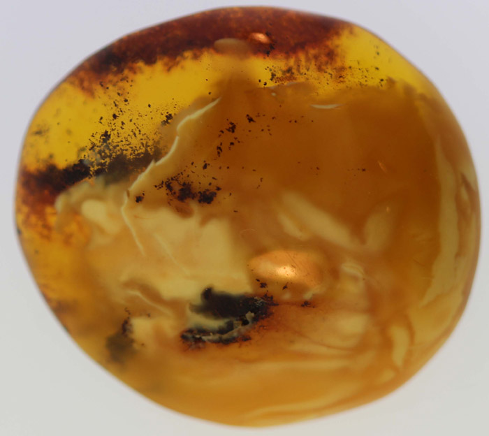 Vintage Amber Brooch of lar... image