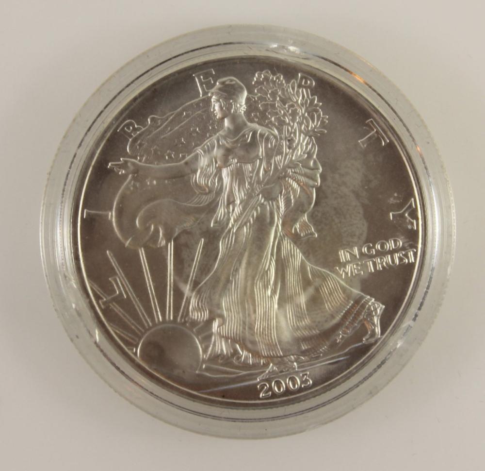 U.S.A. 2003 'Liberty' Silve... image